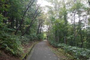 2024年10月10日紅葉情報 (2)