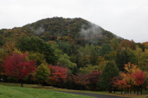 円山と新桜並木