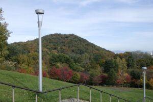 円山と新桜並木