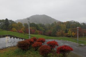 円山と新桜並木