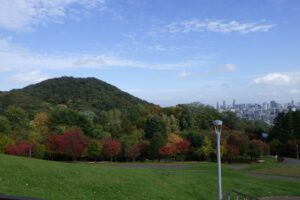 円山と新桜並木