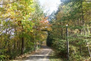 2024年10月24日紅葉の状況 (森の家近くの園路)