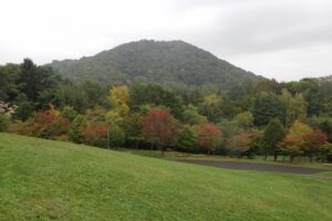 旭山記念公園紅葉情報2024年10月2日1新桜並木と円山