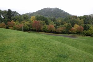 旭山記念公園紅葉情報2024年10月4日10新桜並木と円山
