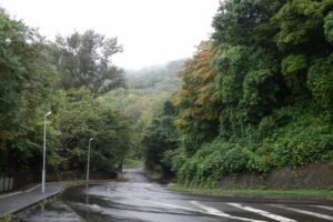 旭山記念公園紅葉情報2024年10月4日5旧桜並木