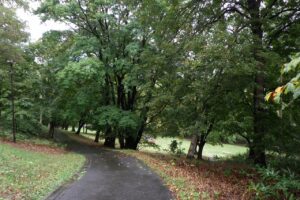 旭山記念公園紅葉情報2024年10月4日6遊具広場上から望む