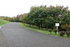 旭山記念公園紅葉情報2024年10月4日9新桜並木