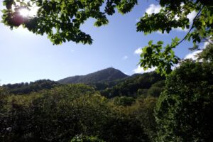 旭山記念公園紅葉情報2024年10月5日6山紅葉坂から藻岩山を望む