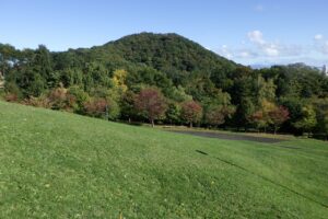 旭山記念公園紅葉情報2024年10月5日9新桜並木と円山