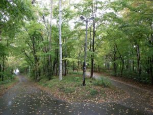 旭山記念公園紅葉情報2024年10月7日14記念樹の森と森の家坂