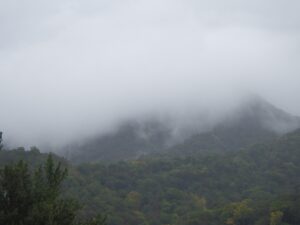 旭山記念公園紅葉情報2024年10月7日16藻岩山見えない