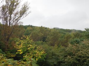 旭山記念公園紅葉情報2024年10月7日7展望台から西側を望む