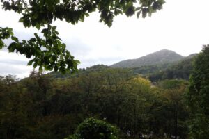 旭山記念公園紅葉情報2024年10月8日11山紅葉坂から藻岩山を望む