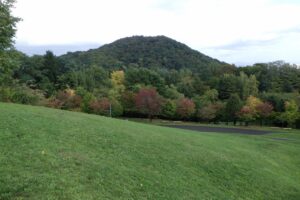 旭山記念公園紅葉情報2024年10月8日2新桜並木と円山