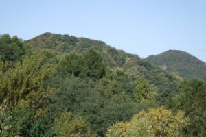 旭山記念公園紅葉情報2024年10月13日11神社山と三角山