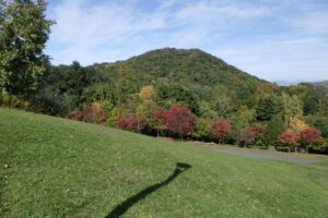 旭山記念公園紅葉情報2024年10月14日8新桜並木と円山
