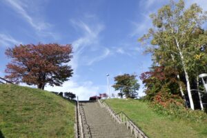 旭山記念公園紅葉情報2024年10月14日1展望台一本桜と階段の周りの風景