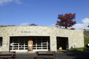 旭山記念公園紅葉情報2024年10月16日1展望台の一本桜とレストハウス