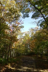 旭山記念公園紅葉情報2024年10月16日13記念樹の森