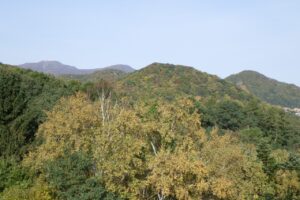 旭山記念公園紅葉情報2024年10月18日6手稲山大倉山神社山三角山