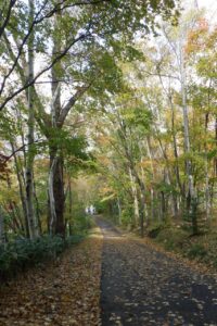 旭山記念公園紅葉情報2024年10月20日13森の家坂