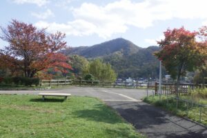 旭山記念公園紅葉情報2024年10月20日18展望台一本桜と藻岩山