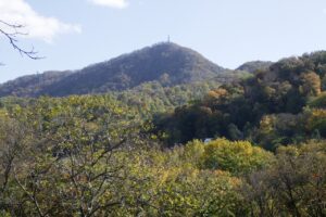 旭山記念公園紅葉情報2024年10月20日19山紅葉坂から藻岩山を望む