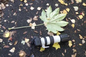 旭山記念公園紅葉情報2024年10月20日22ハリギリの葉