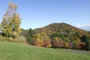 旭山記念公園紅葉情報2024年10月25日9新桜並木と円山