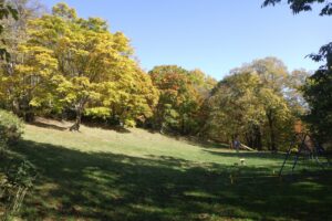 旭山記念公園紅葉情報2024年10月25日12遊具広場西側から