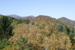 旭山記念公園紅葉情報2024年10月25日8西側の山々