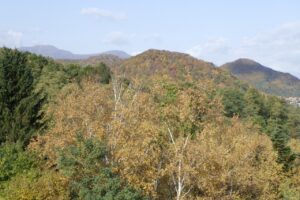 旭山記念公園紅葉情報2024年10月26日10西側の山々