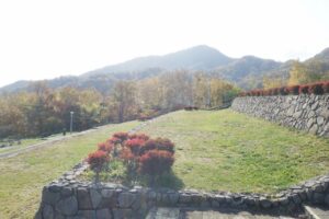 旭山記念公園紅葉情報2024年10月26日12テラス状階段から藻岩山を望む