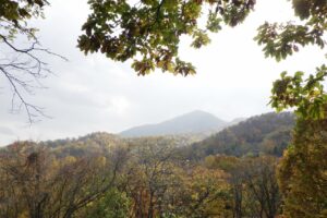 旭山記念公園紅葉情報2024年10月26日7山紅葉坂から藻岩山を望む