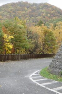 旭山記念公園紅葉情報2024年10月28日9舗装道路と円山