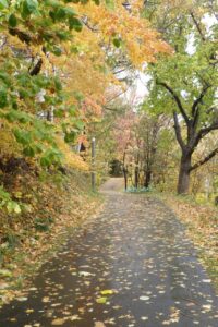 旭山記念公園紅葉情報2024年10月28日14森の家坂上り