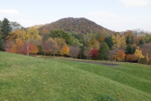 旭山記念公園紅葉情報2024年10月29日7新桜並木と円山