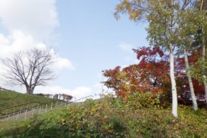 旭山記念公園紅葉情報2024年10月29日6展望台階段付近