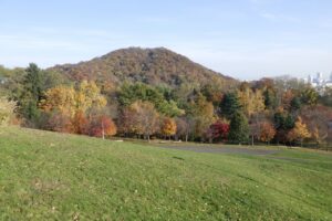 旭山記念公園紅葉情報2024年10月30日7新桜並木と円山