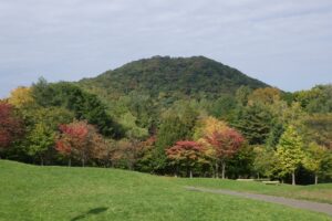 円山と新桜並木 (2)