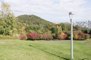 2024年10月17日紅葉の状況 (8)