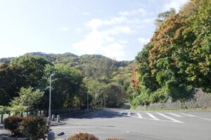 2024年10月17日紅葉の状況 (7)