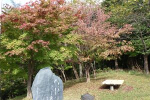 2024年10月9日紅葉情報 (4)