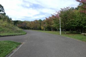 2024年10月9日紅葉情報 (2)