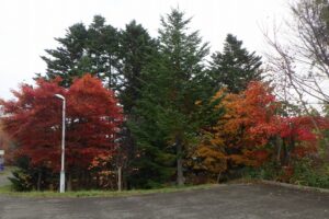 ちびっ子広場への入口