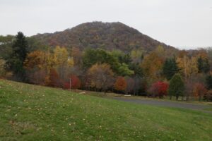 旭山記念公園紅葉情報2024年11月1日1新桜並木と円山