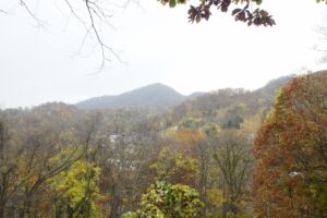 旭山記念公園紅葉情報2024年11月1日5山紅葉坂から藻岩山を望む