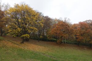 旭山記念公園紅葉情報2024年11月1日8遊具広場