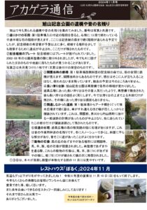 アカゲラ通信2024年11月号表