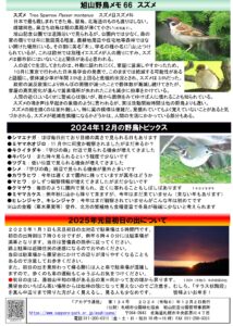 アカゲラ通信2024年12月号B面